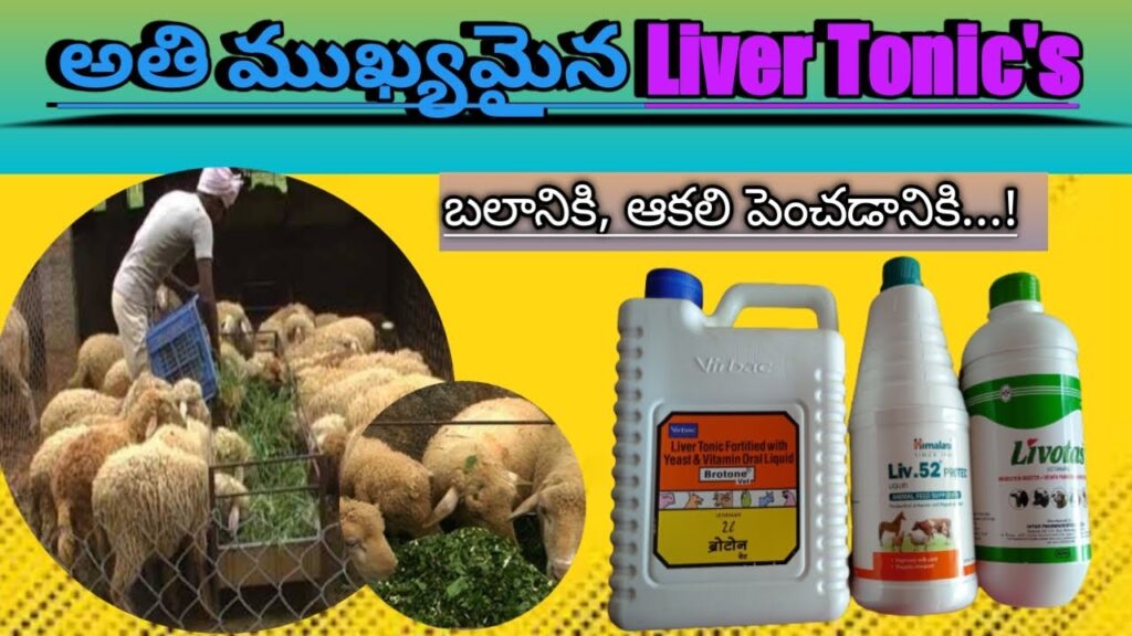 Liver tonic uses 